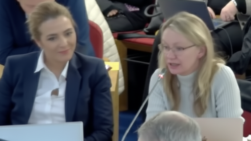 Cllr Allcott (r) with Cllr Sam Ammar in Thursdays (6th) Full Council meeting